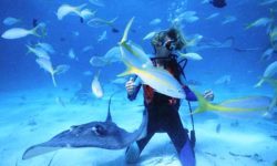 Ambergris Caye, Belize - World's Best Places for Scuba Diving