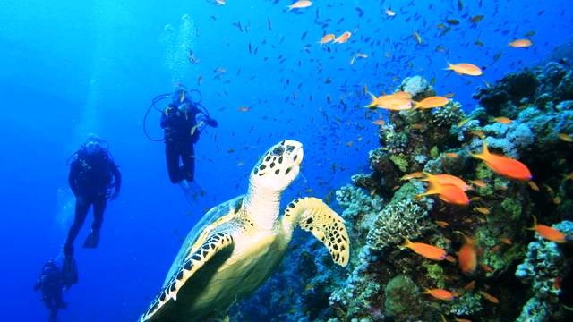 Cozumel, Mexico - World's Best Places for Scuba Diving