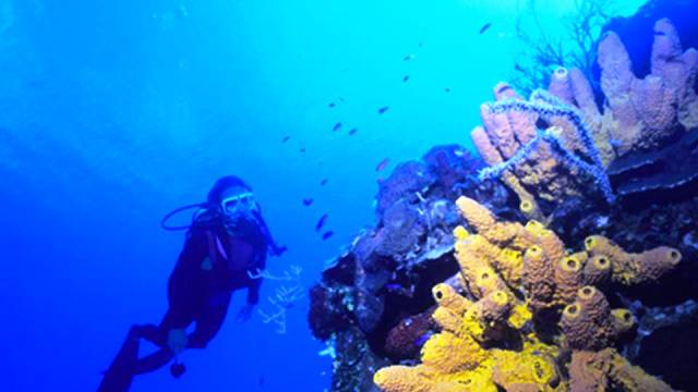 Grand Turk, Turk & Caicos - World's Best Places for Scuba Diving