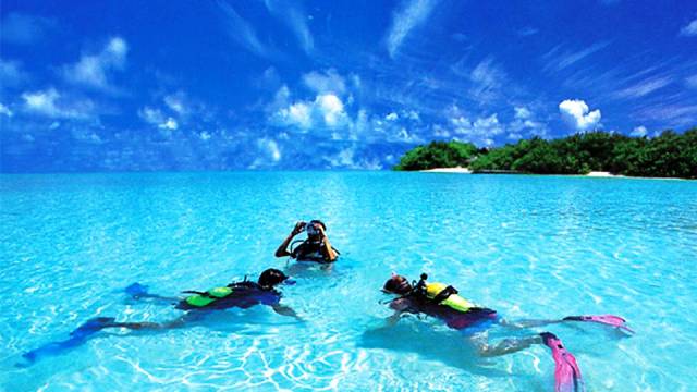 Maaya Thila, Maldives - World's Best Places for Scuba Diving