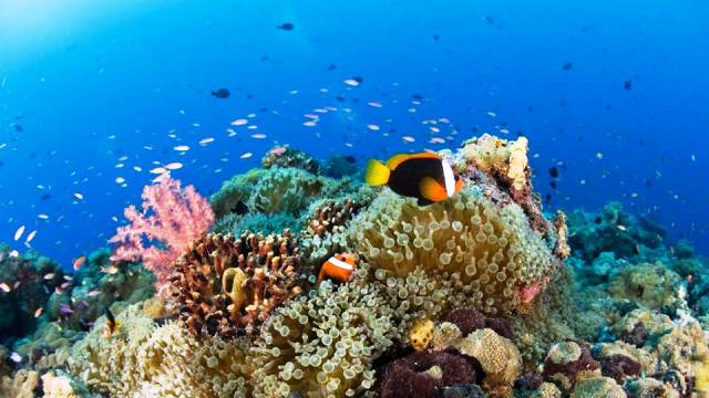 Papua New Guinea - World's Best Places for Scuba Diving