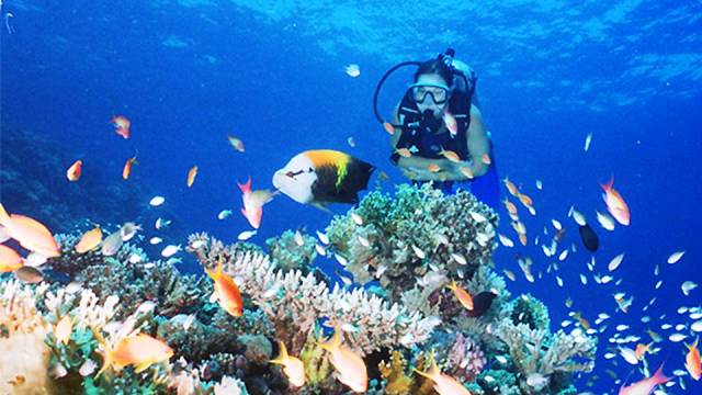 Puerto Galera Philippines - World's Best Places for Scuba Diving