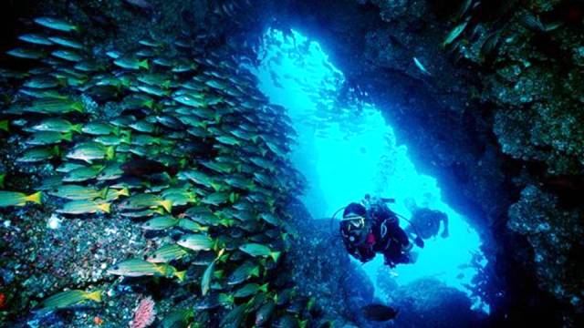 Punta Gorda, Costa Rica - World's Best Places for Scuba Diving