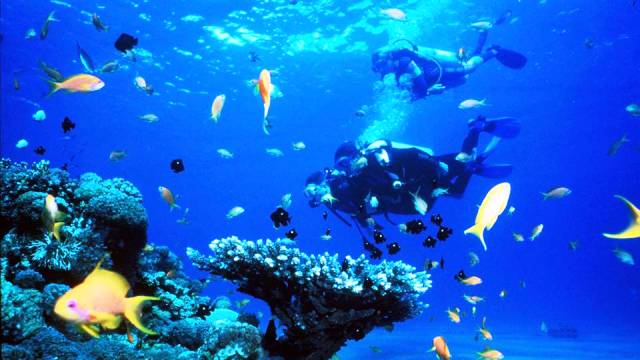 Ras Mohammed, The Red Sea, Egypt - World's Best Places for Scuba Diving