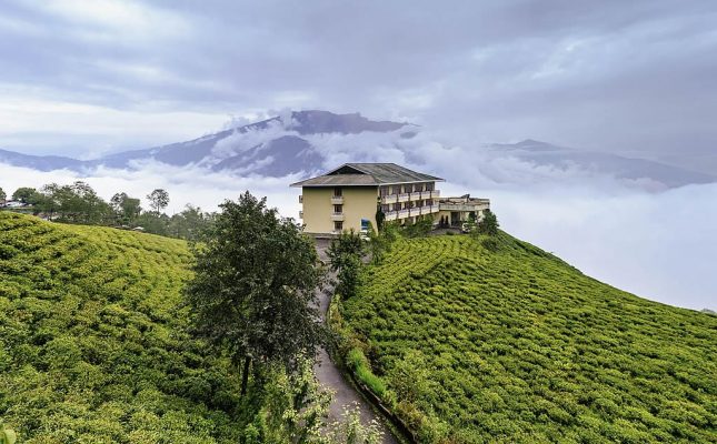 Cherry Resort inside Temi Tea Garden, Namchi, Sikkim - History of Tea in China