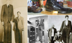 Top Tallest Men In The Human History With Pictures